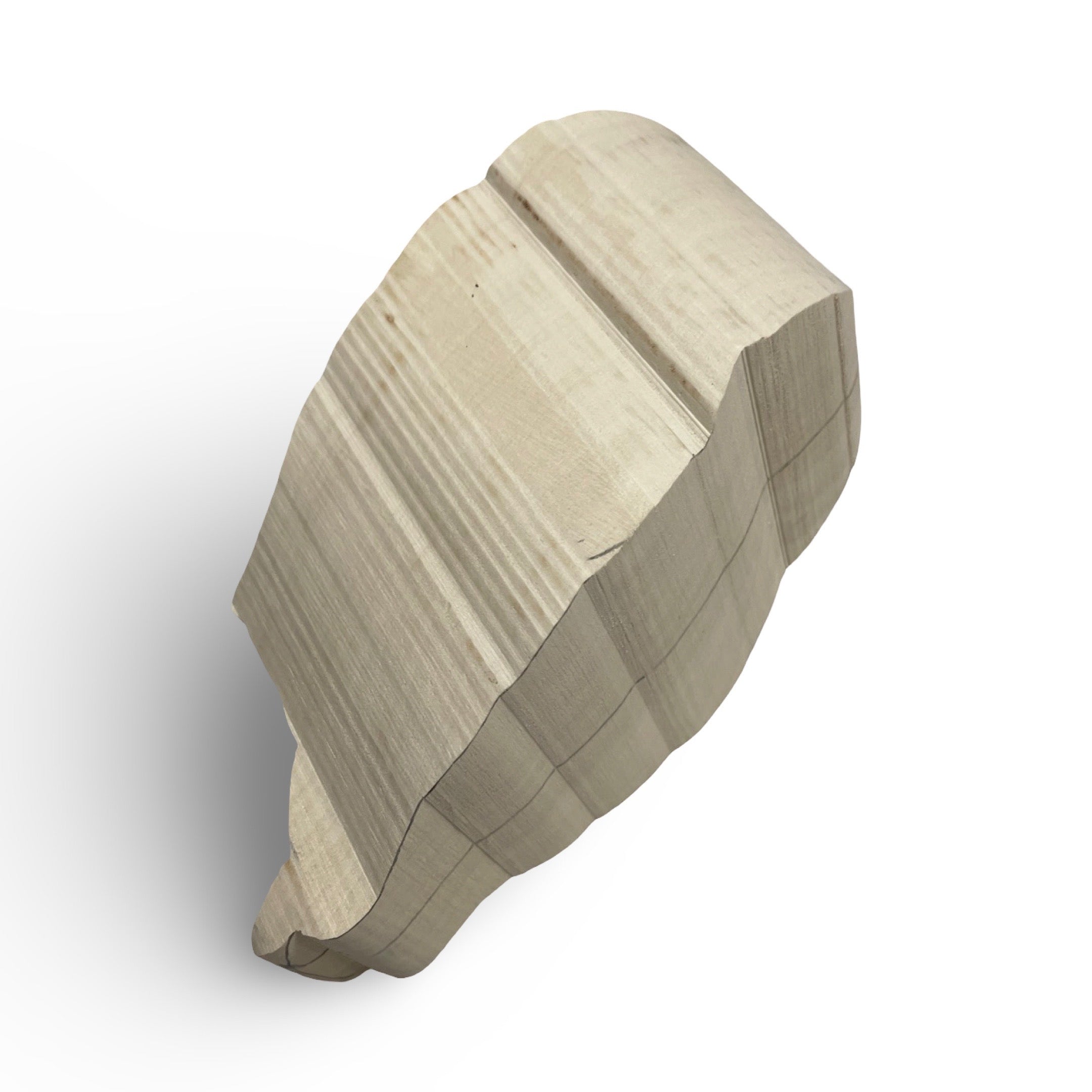 Saw-whet Owl, Life Size Blank