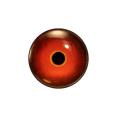 Custom Blended Eye - Canvasback Male
