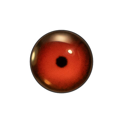 Custom Blended Eye - Red-Breasted Merganser Male