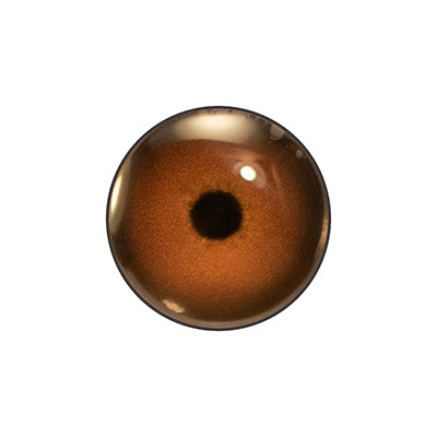 Custom Blended Eye - Shoveler Female