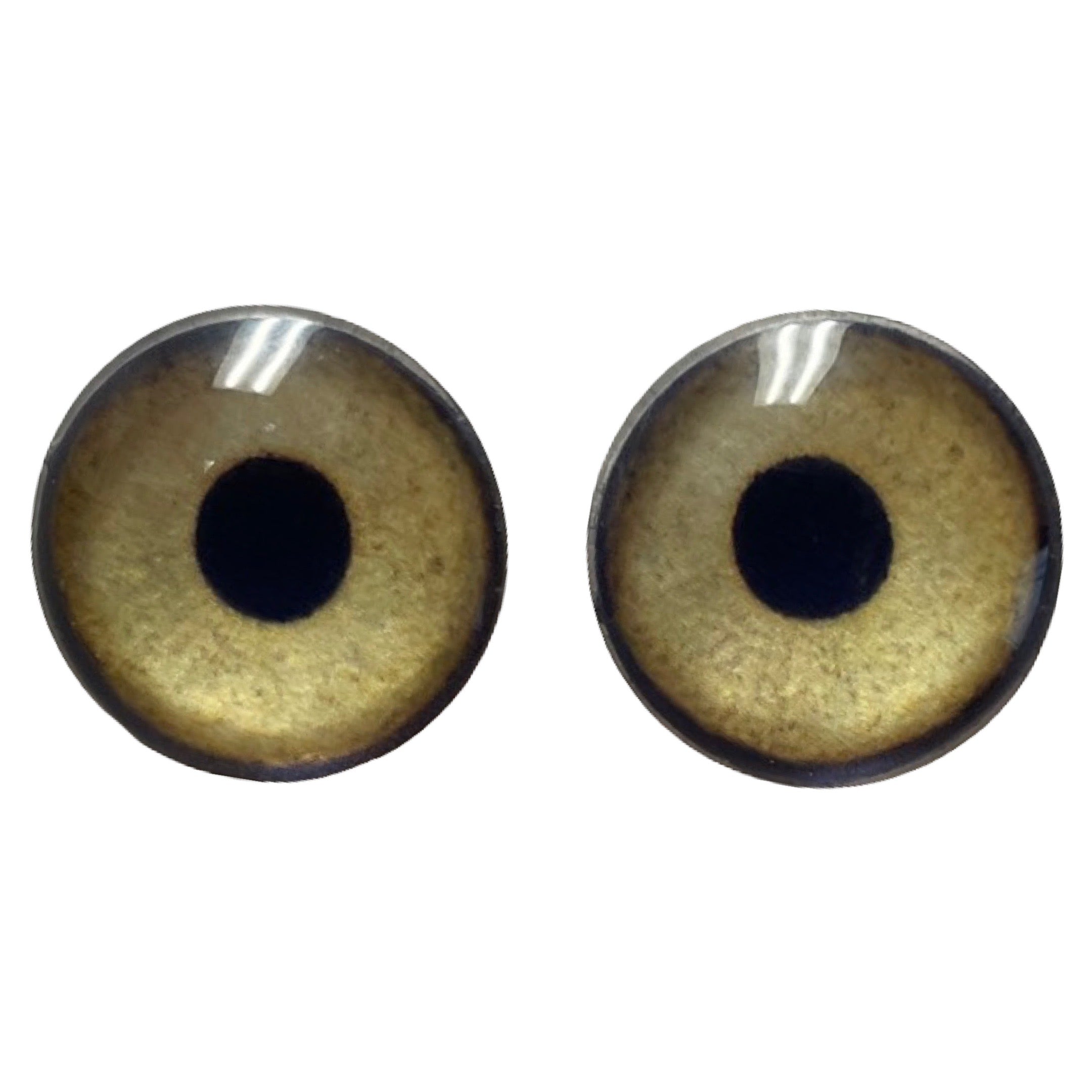 Custom Blended Eye - Bald Eagle