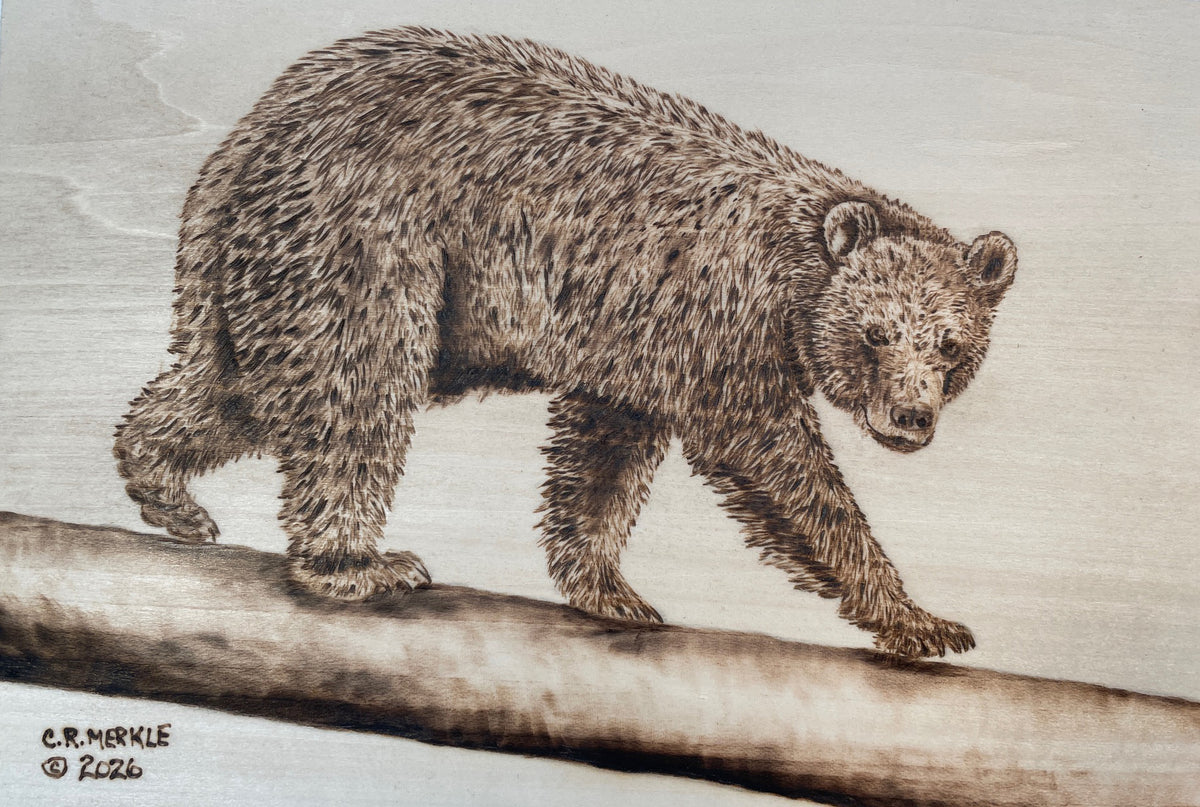 Pyrography Workshop December 5 2026 - Black Bear