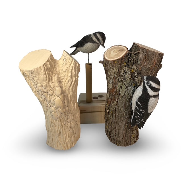Carve, Texture and Paint a Life-size Downy Woodpecker on a tree trunk with Cam Merkle