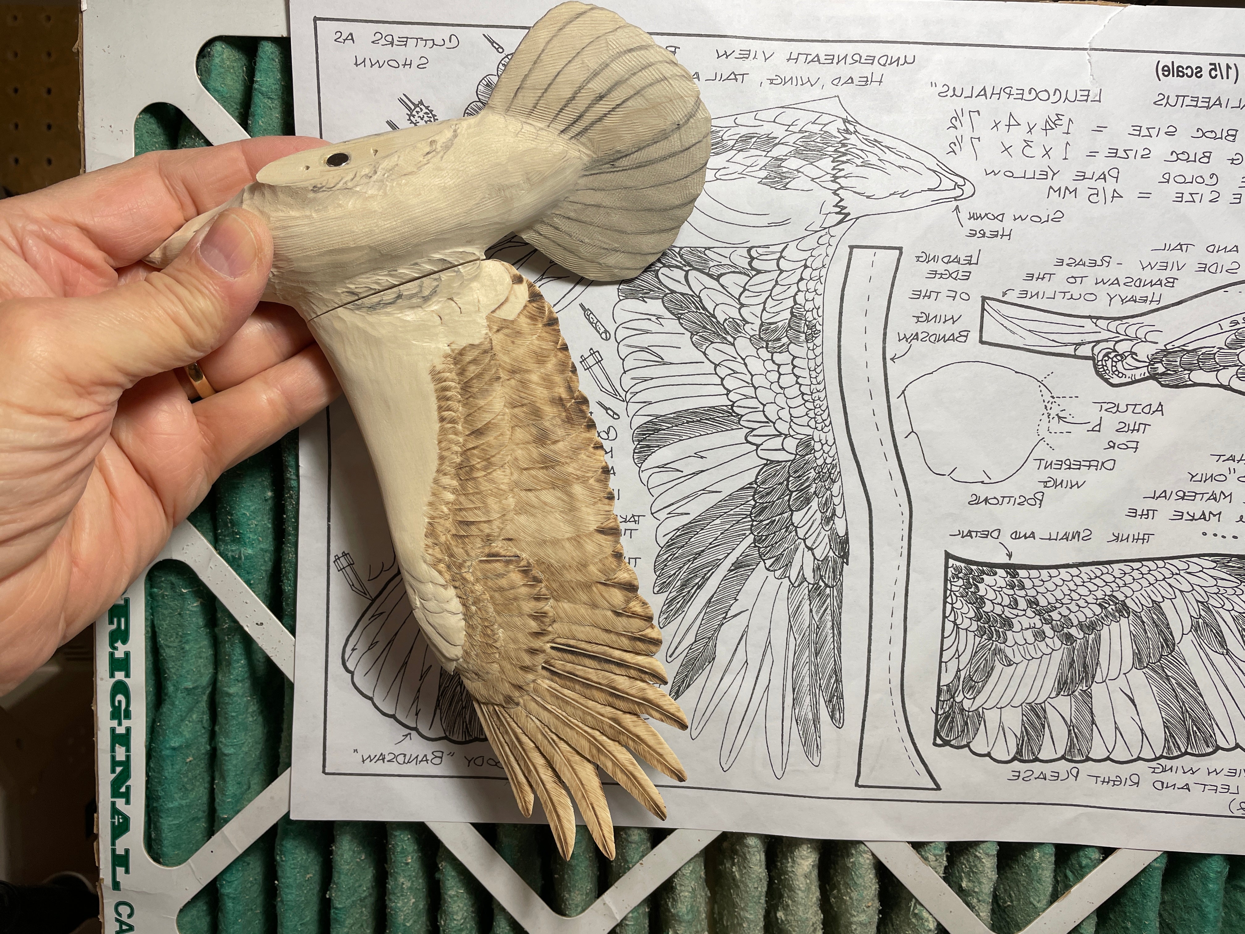 Carve and Texture a Miniature Soaring Bald Eagle with Cam Merkle