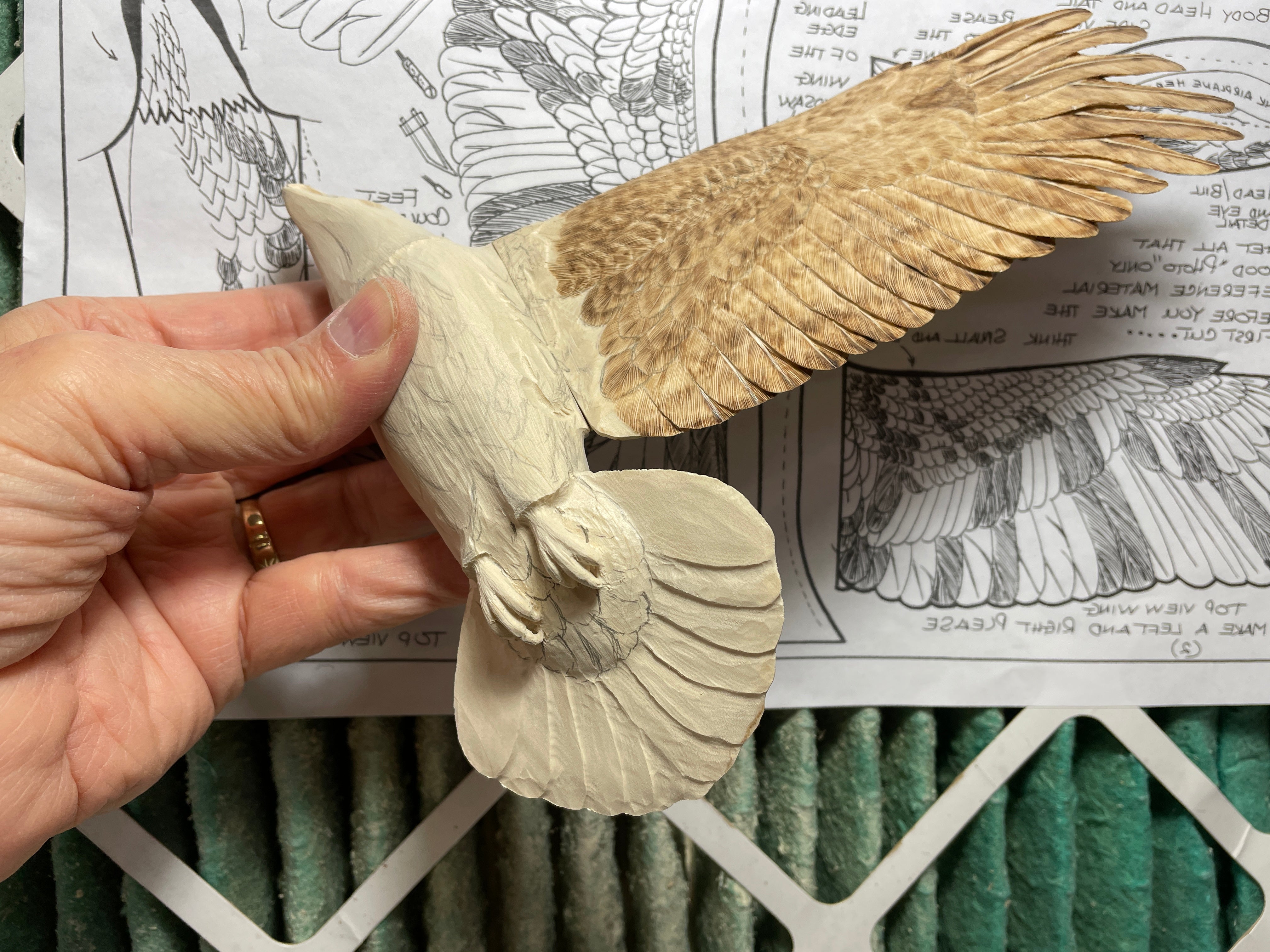 Carve and Texture a Miniature Soaring Bald Eagle with Cam Merkle