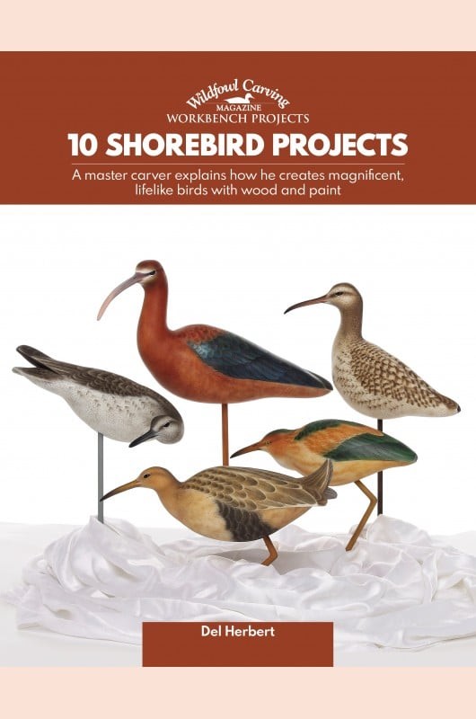 10 Shorebird Projects - Del Herbert