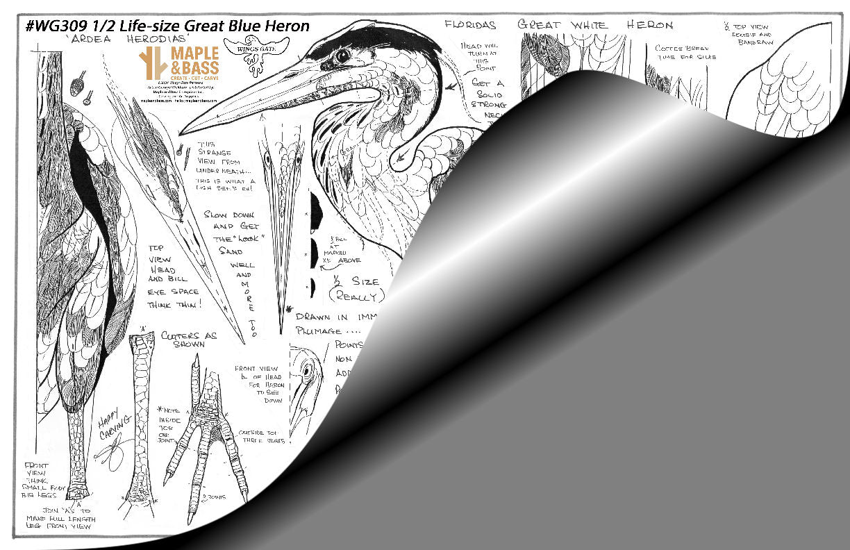Heron, Great Blue Standing, 1/2 Life Size Wings Gate Pattern #WG309