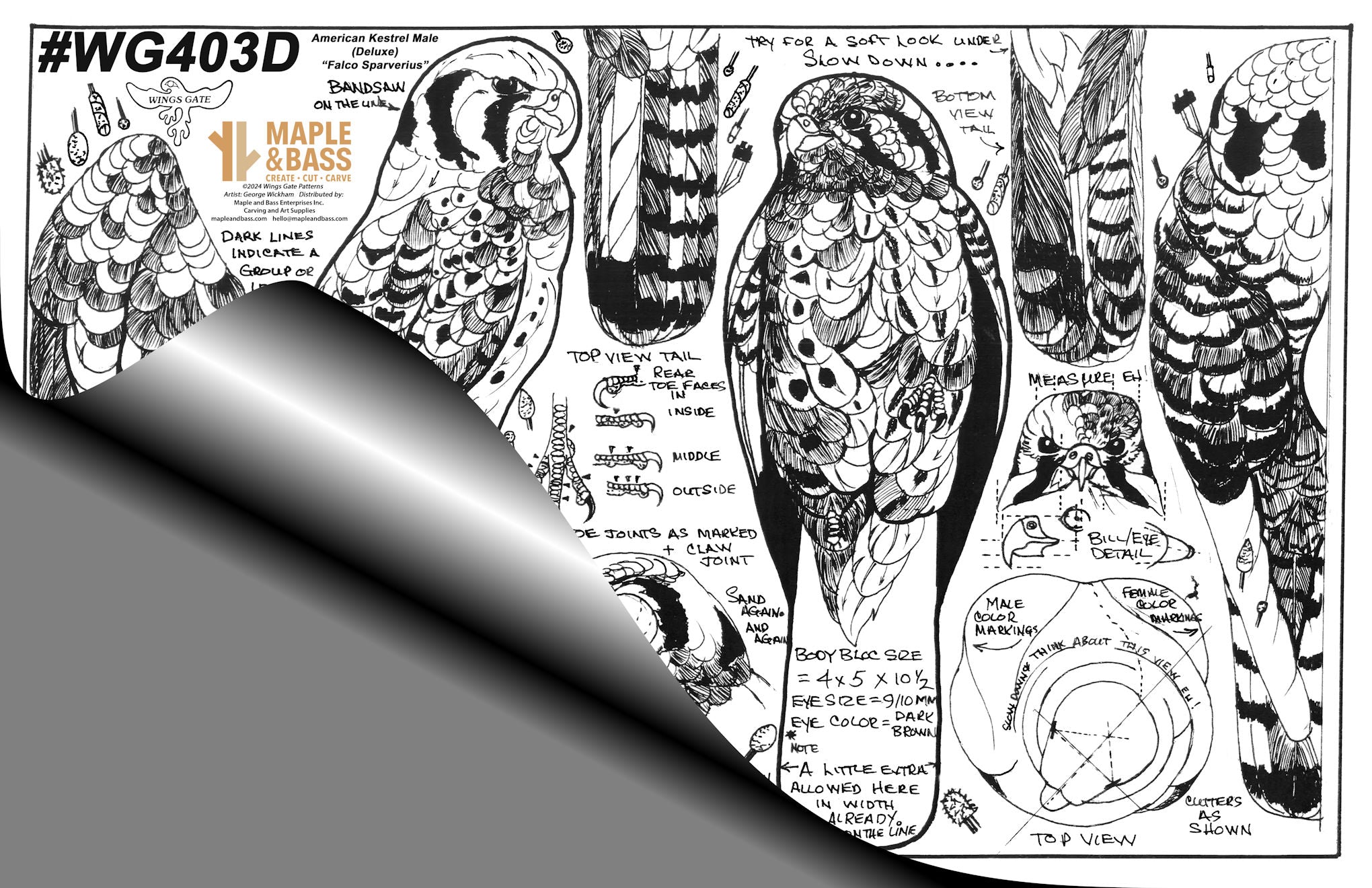 Kestrel, American Male (Perched) Wings Gate Pattern or Blank #WG403D