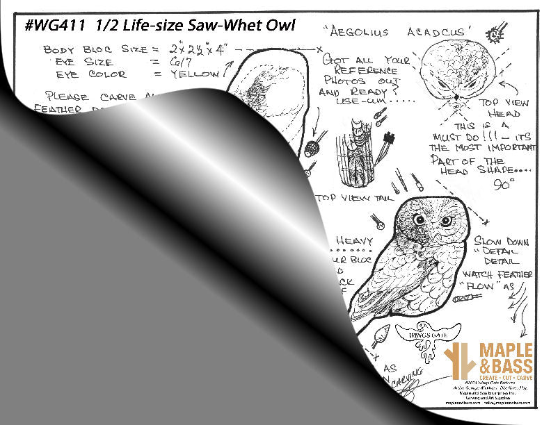 Owl, Saw-Whet 1/2 Life-size, Perched Wings Gate Pattern 8.5x11 #WG411