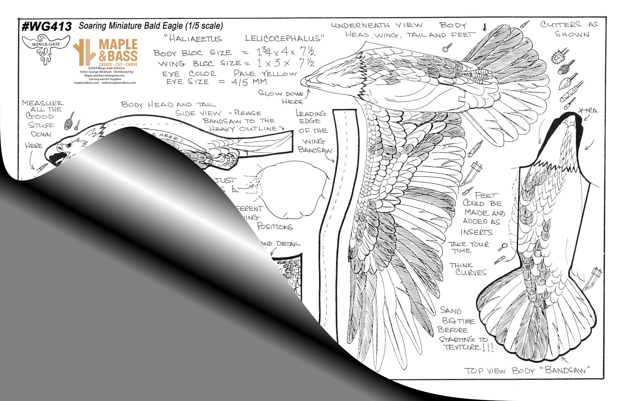 Eagle, Bald - Soaring 1/5 Life Size Wings Gate Pattern or Blank #WG413