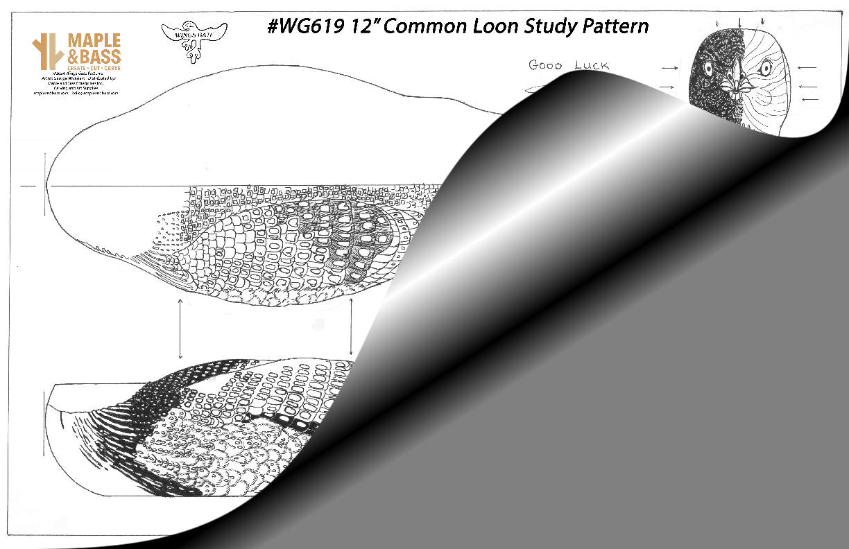 Common Loon Decoy 12" Wings Gate Study Pattern 11x17 #WG619