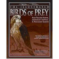 Illustustrated Birds of Prey