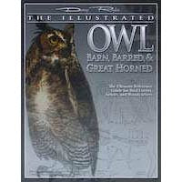 Illustustrated Owl: Barn, Barred and Great Horned