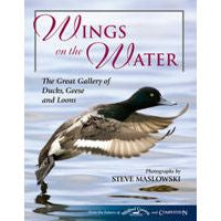 Wings on the Water