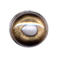Fish Eye, Natural, Walleye 10mm