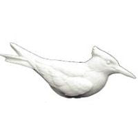 Tern, Royal, 1/2 Life Size - Study Cast