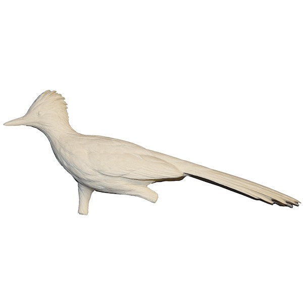 Study Casts - Birds – Page 3