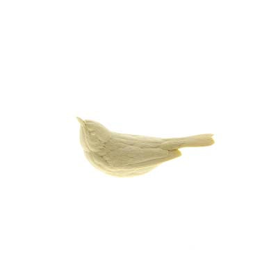 Ovenbird, Lifesize - Study Cast