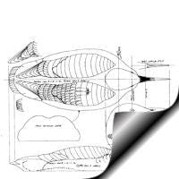 Loon - High Head, Puffy Neck Pattern