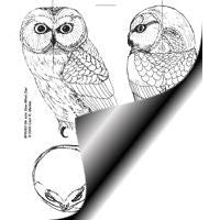Owl, Saw-Whet - 1/2 Life Size Pattern