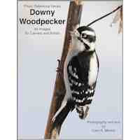 Woodpecker, Downy - Photo Reference