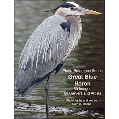 Heron, Great Blue - Photo Reference