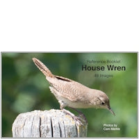 Wren, House - Photo Reference