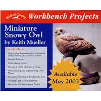 Workbench Projects-Snowy Owl